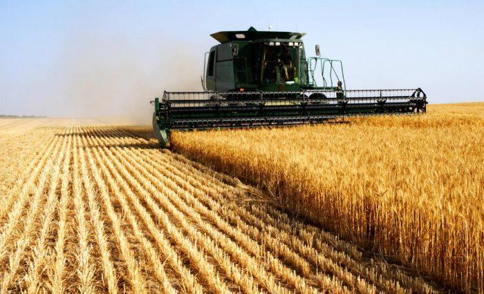 Moroccan agriculture rebounding after winter rains, supporting 2026 growth forecast