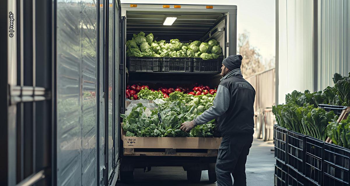Morocco fresh produce cold chain temperature control export logistics berries tomatoes freshness quality