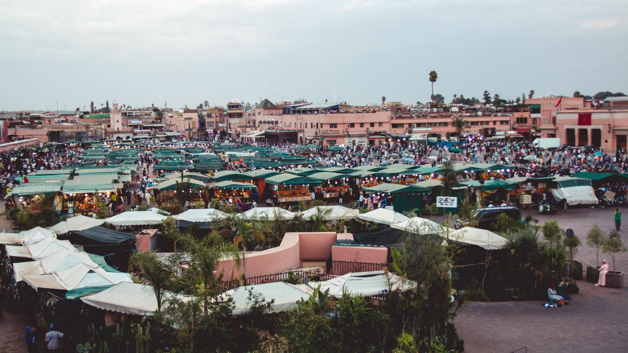 Morocco households affordable protein chicken eggs legumes budget families food security
