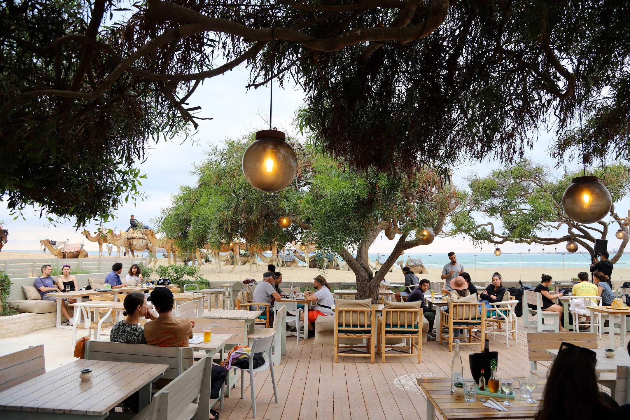 Essaouira restaurants set for a big weekend during the Gnaoua 2026 festival