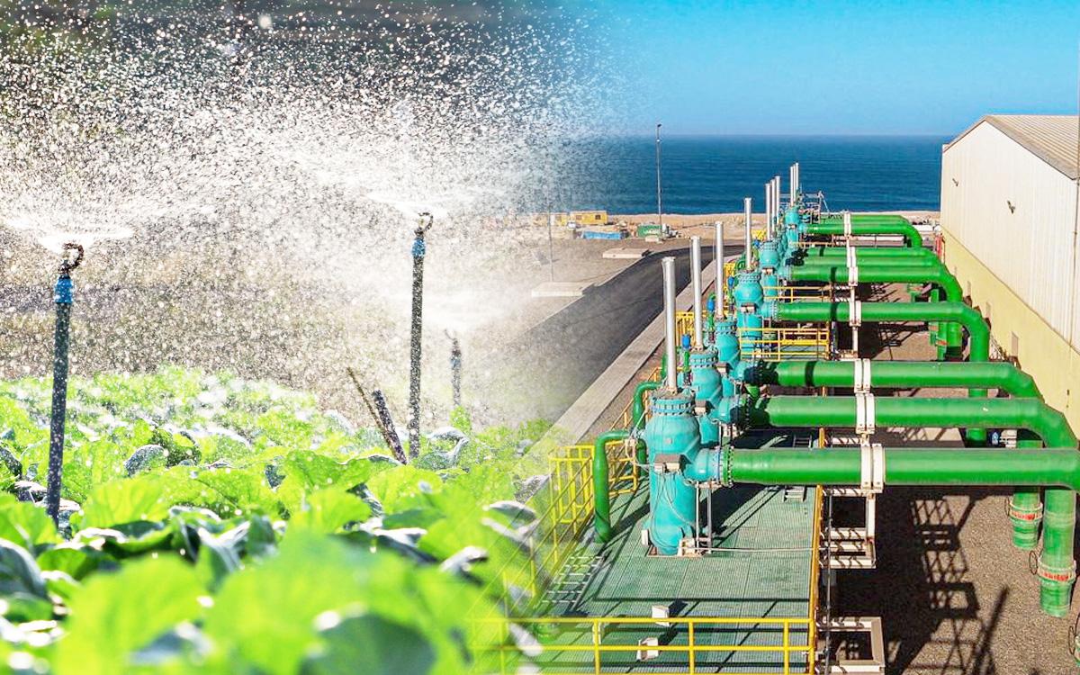 Agricultural water use remaining central to Morocco’s long-term water-security equation