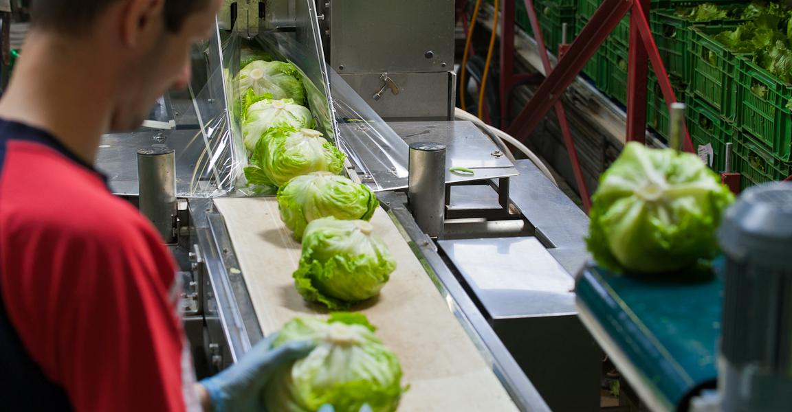 Fresh raw produce creating both marketing appeal and food-safety vulnerability for fast-food chains