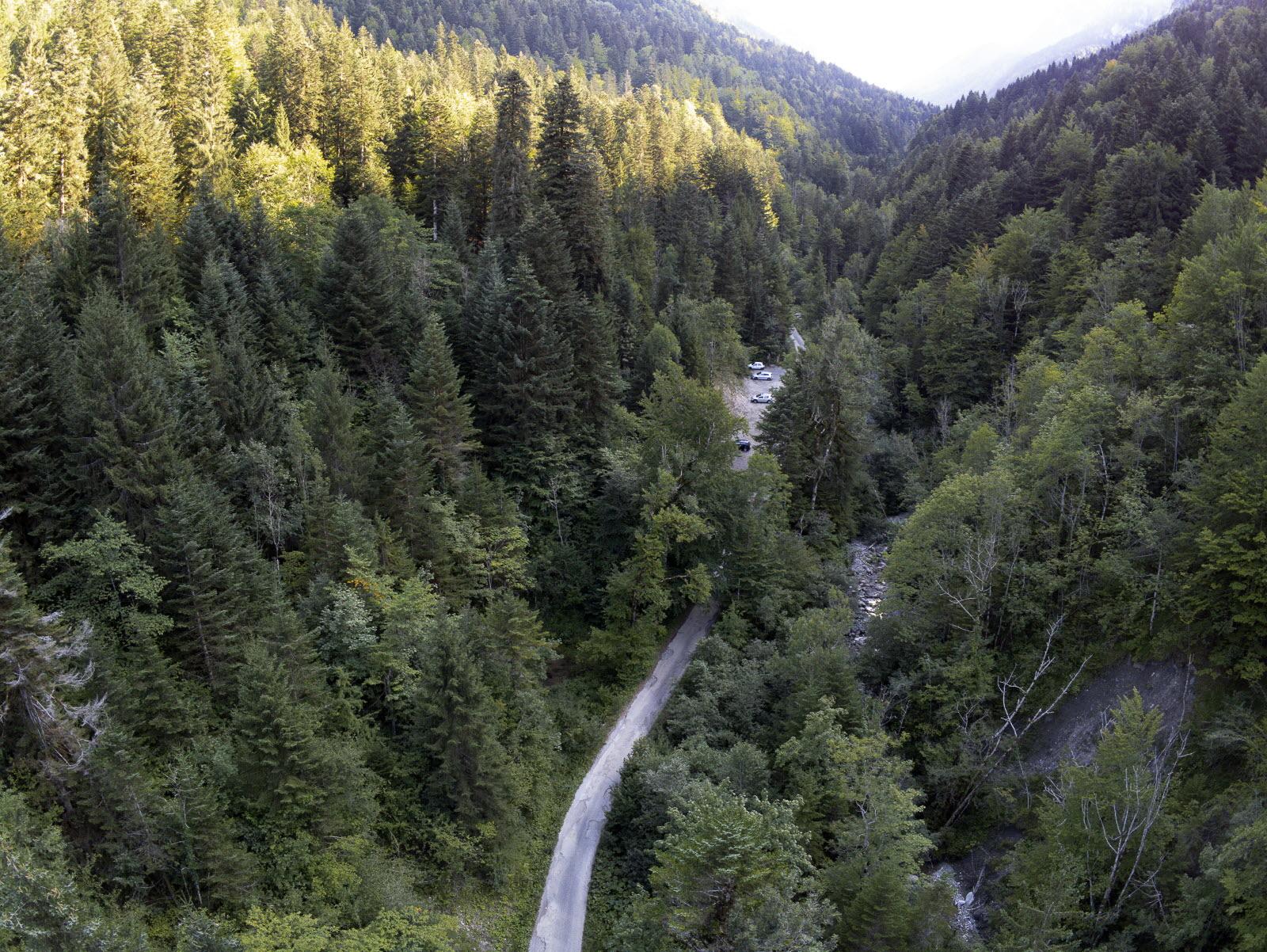 The remote Chevaline forest clearing representing the unanswered question of whether the killer knew the victims would arrive