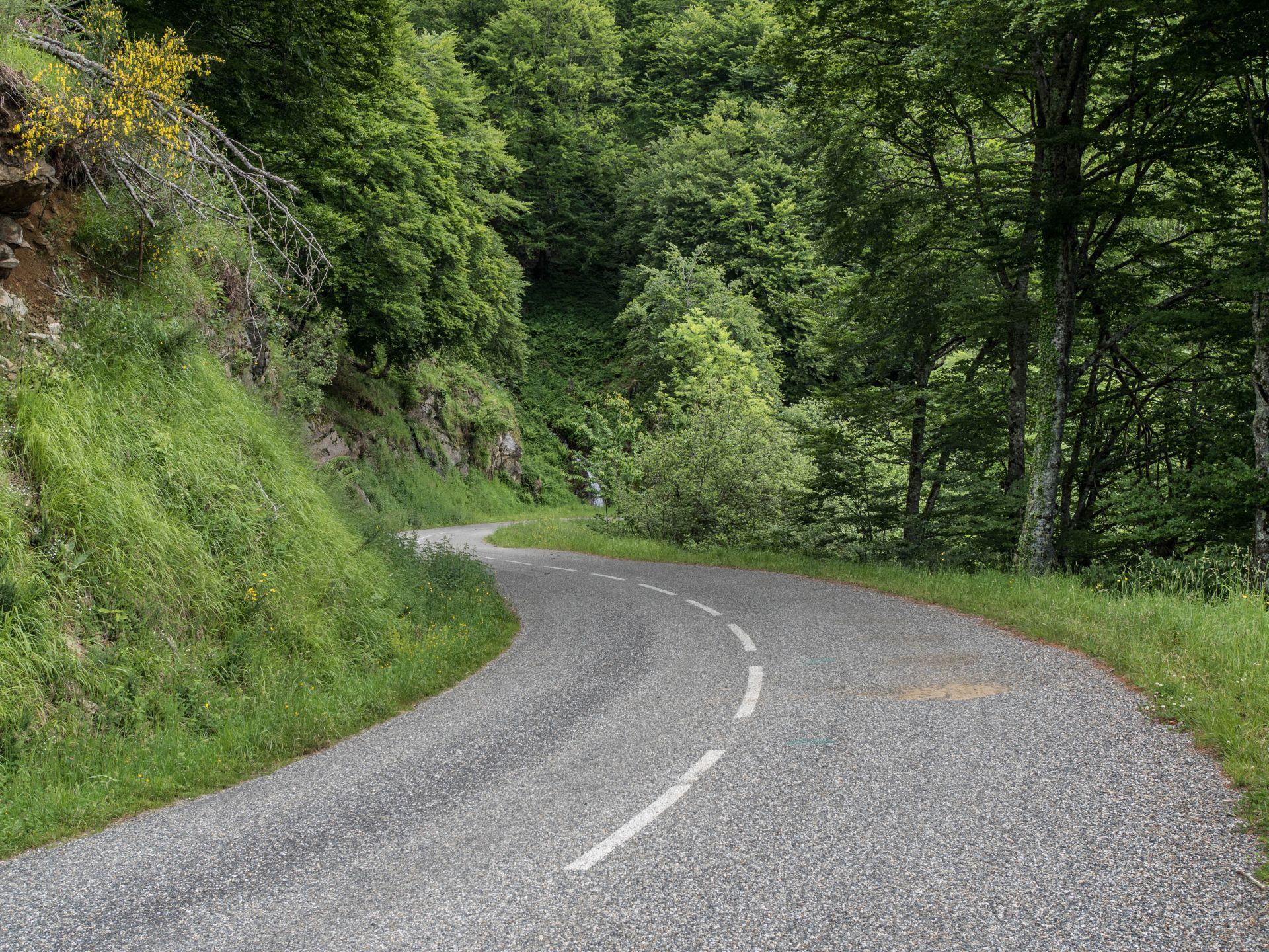 The isolated forest road above Chevaline becoming narrower and more remote as the al-Hilli BMW climbed into the Alps