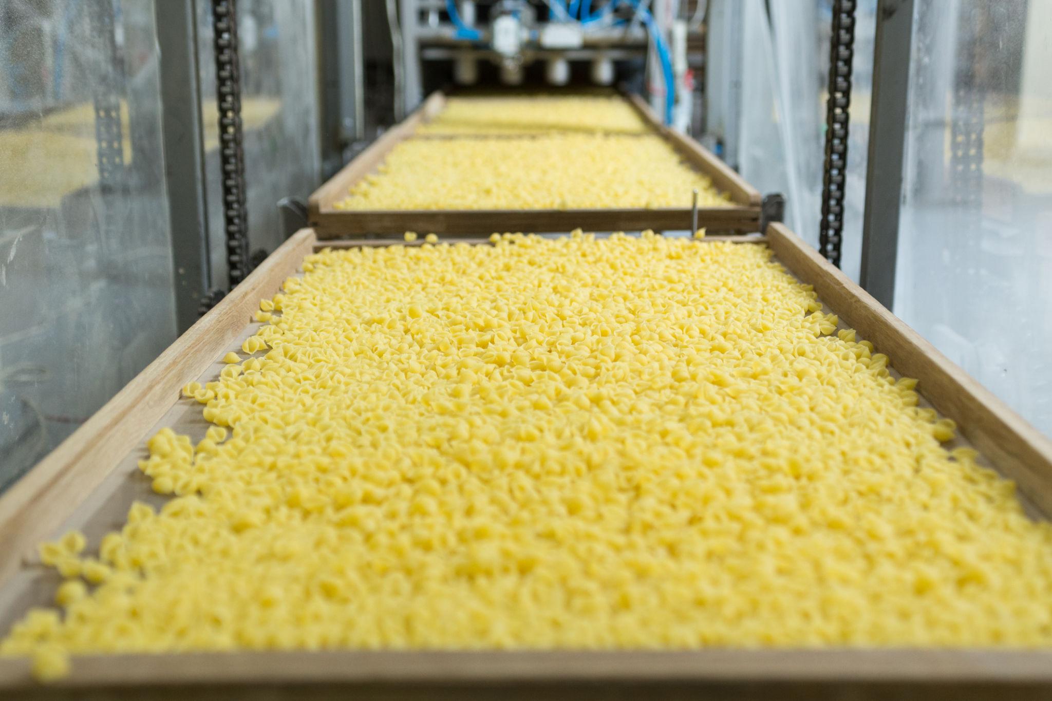 Dari Couspate gaining industrial efficiency from greater food-manufacturing scale